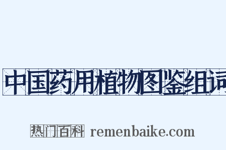 中国药用植物图鉴组词是什么意思的图片